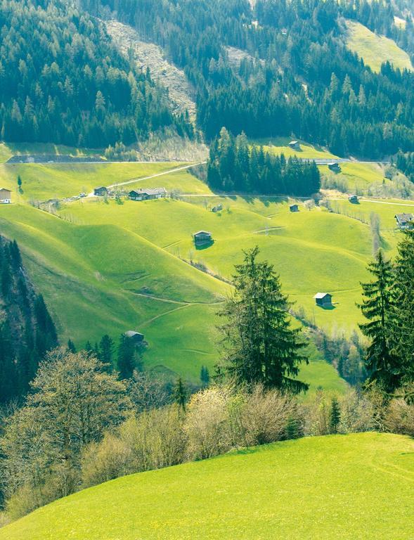 Schoesserhof Villa เซลล์ อัม ซิลลา ภายนอก รูปภาพ